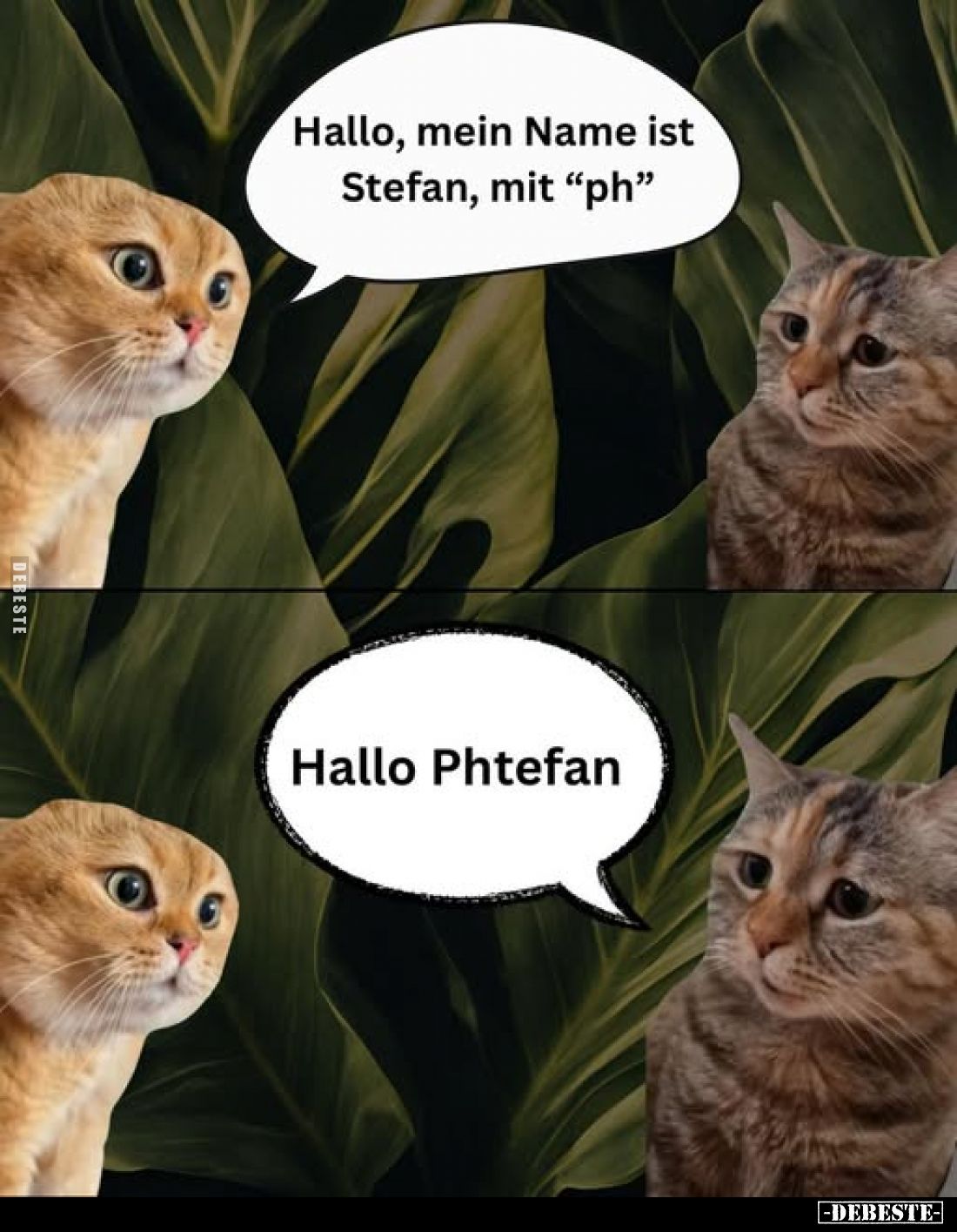 Hallo, mein Name ist Stefan, mit "ph".. - Lustige Bilder | DEBESTE.de