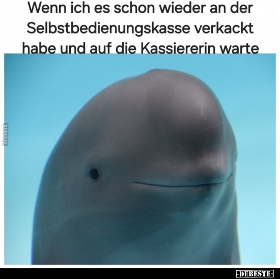 Wenn ich es schon wieder an der Selbstbedienungskasse.. - Lustige Bilder | DEBESTE.de