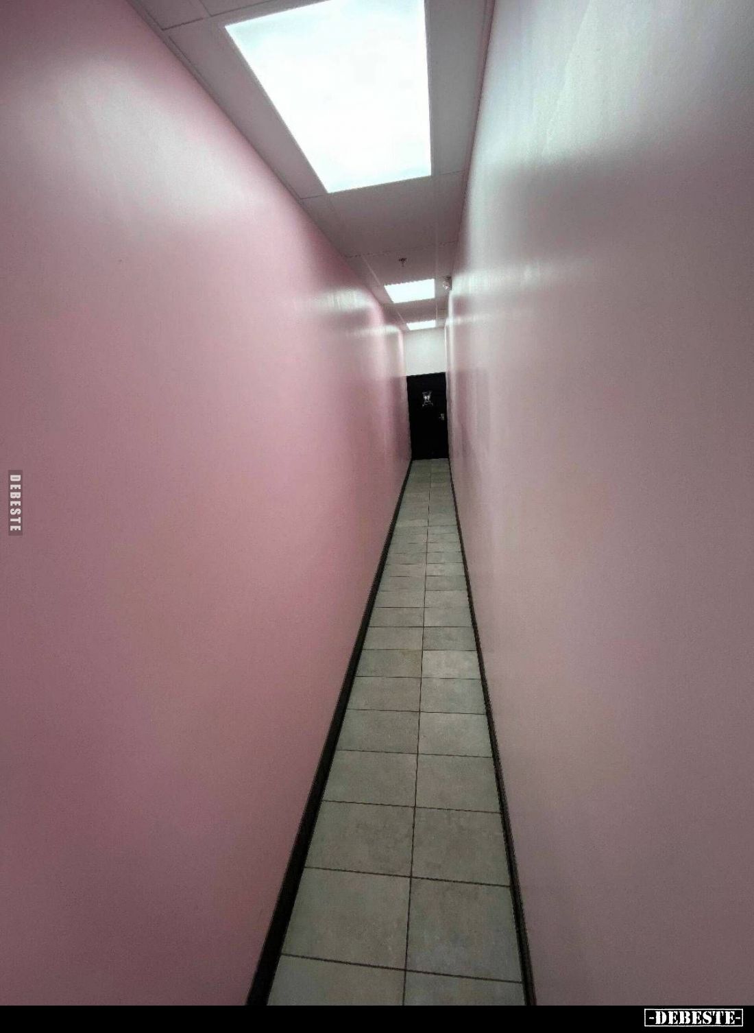  - Lustige Bilder | DEBESTE.de