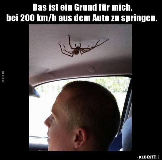 Das ist ein Grund für mich, bei 200 km/h aus dem Auto zu..
