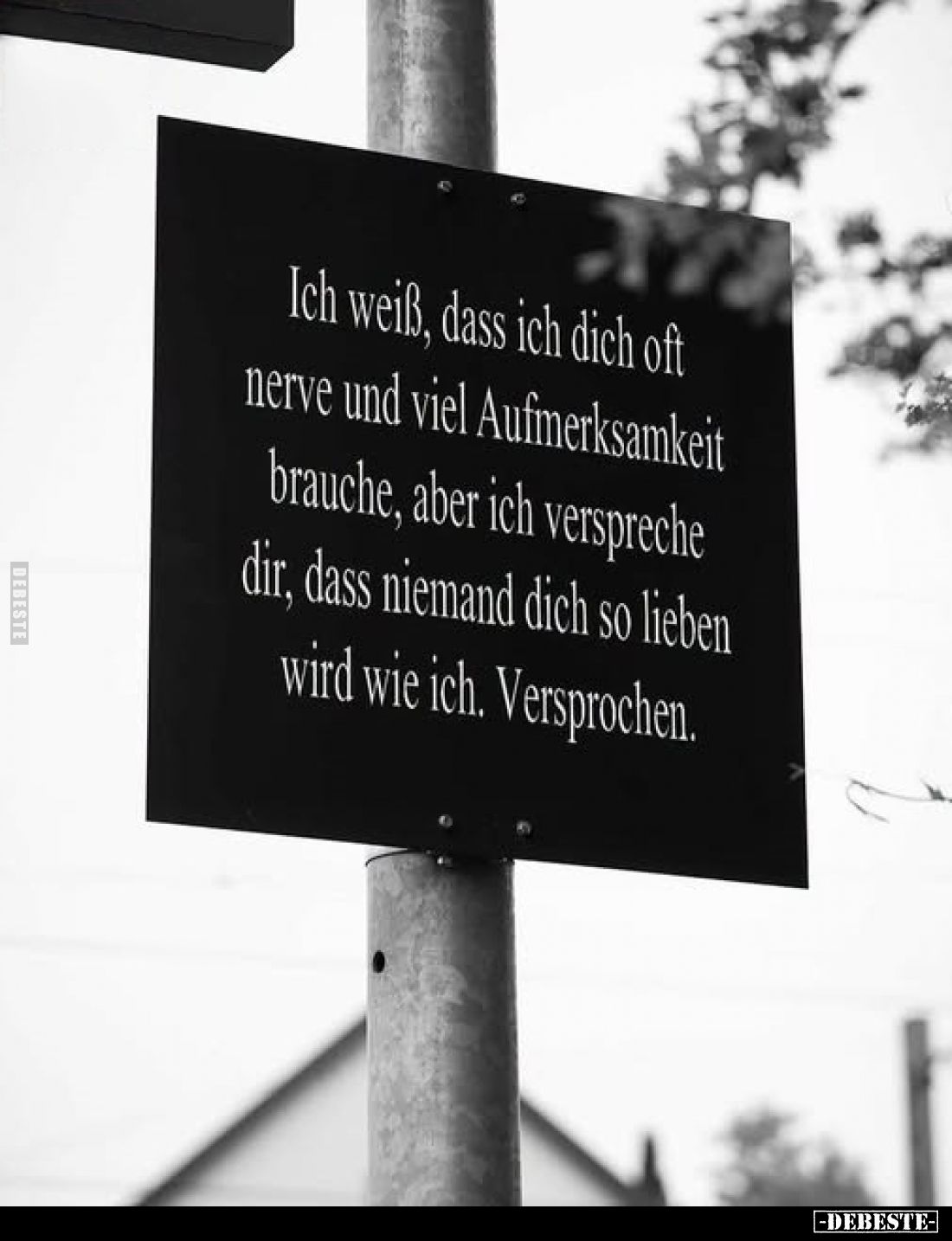Ich weiß, dass ich dich oft nerve und viel Aufmerksamkeit brauche, aber ich verspreche dir, dass niemand dich so lieben wird ...