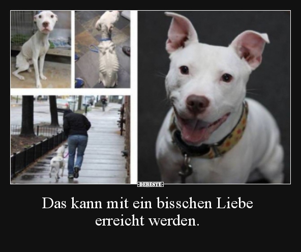 Das kann mit ein bisschen Liebe erreicht werden...