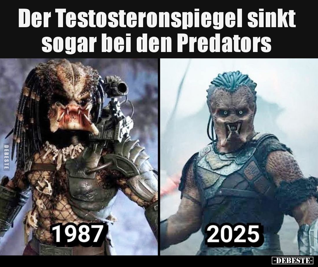 Der Testosteronspiegel sinkt sogar bei den Predators.