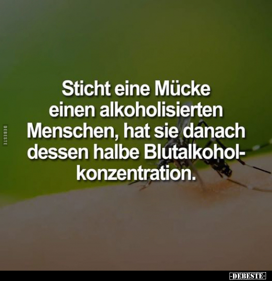 Sticht eine Mücke einen alkoholisierten Menschen, hat sie.. - Lustige Bilder | DEBESTE.de