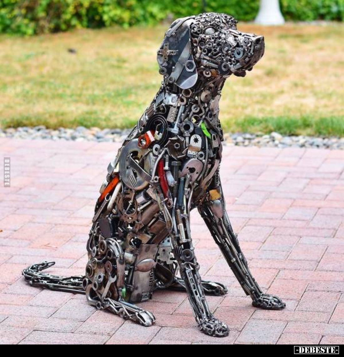  - Lustige Bilder | DEBESTE.de