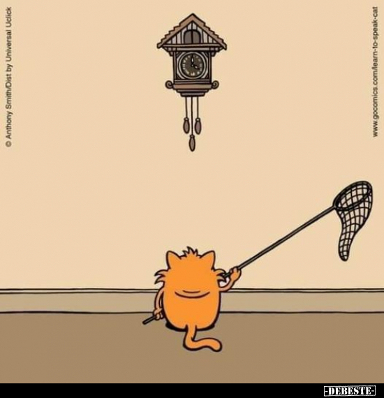  - Lustige Bilder | DEBESTE.de