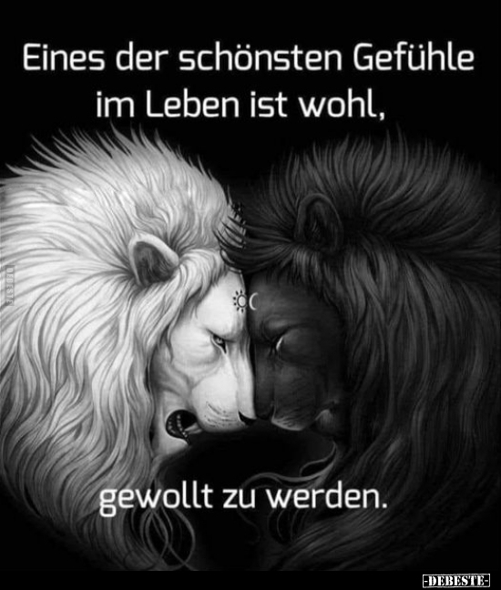 Eines der schönsten Gefühle im Leben ist wohl, gewollt zu werden.