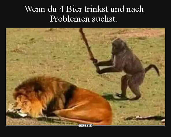 Wenn du 4 Bier trinkst und nach Problemen suchst... - Lustige Bilder | DEBESTE.de