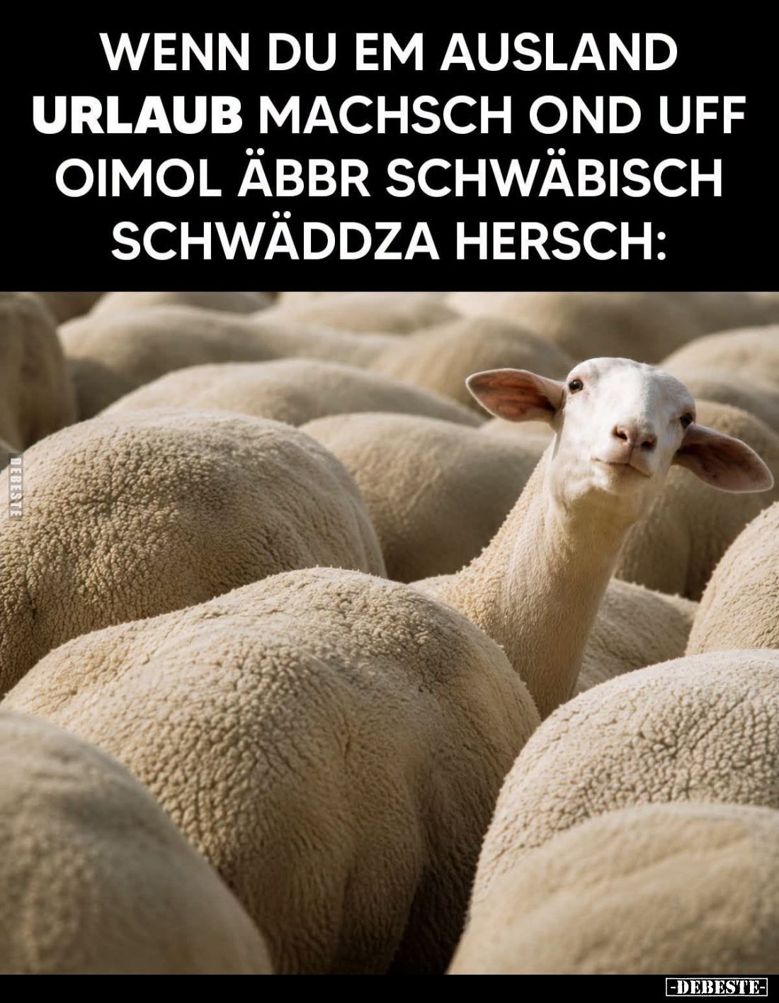 Wenn du em Ausland Urlaub machsch ond uff oimol äbbr schwäbisch schwäddza hersch: