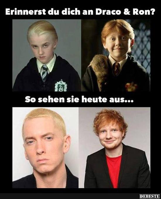 Erinnerst du dich an Draco & Ron? - Lustige Bilder | DEBESTE.de