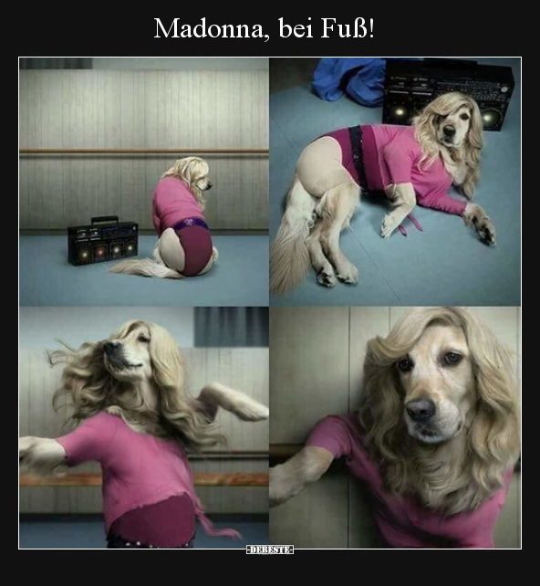 Madonna, bei Fuß!.. - Lustige Bilder | DEBESTE.de