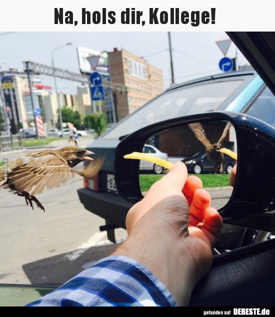 Na, hols dir, Kollege!