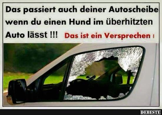 Das passiert auch deiner Autoscheibe wenn..