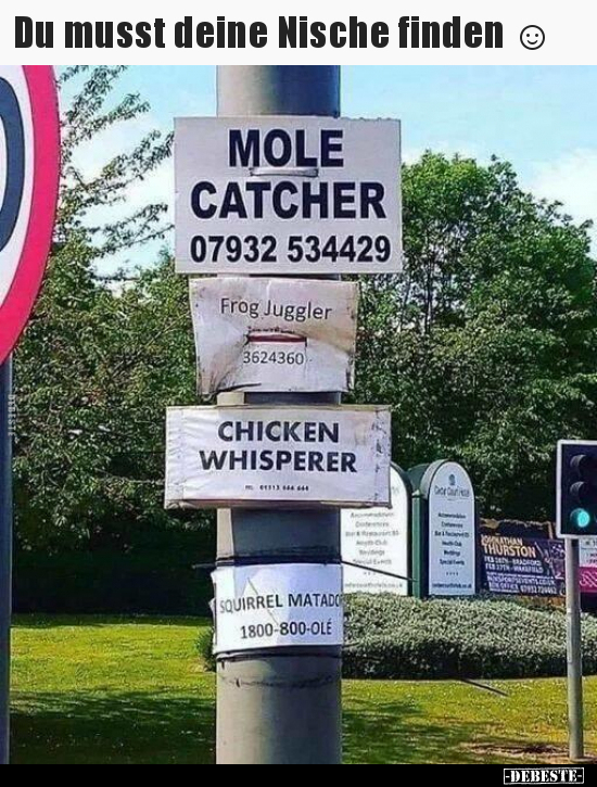 Du musst deine Nische finden.