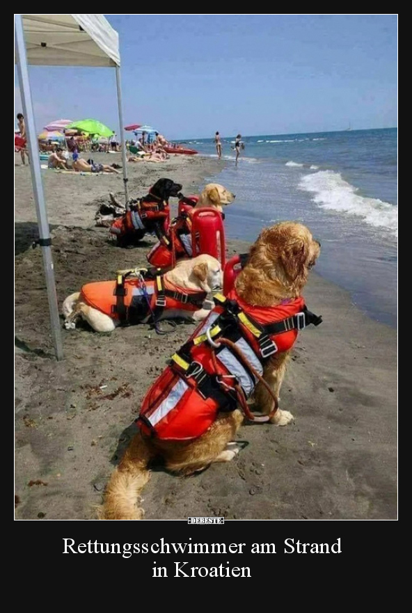 Rettungsschwimmer am Strand in Kroatien.. - Lustige Bilder | DEBESTE.de