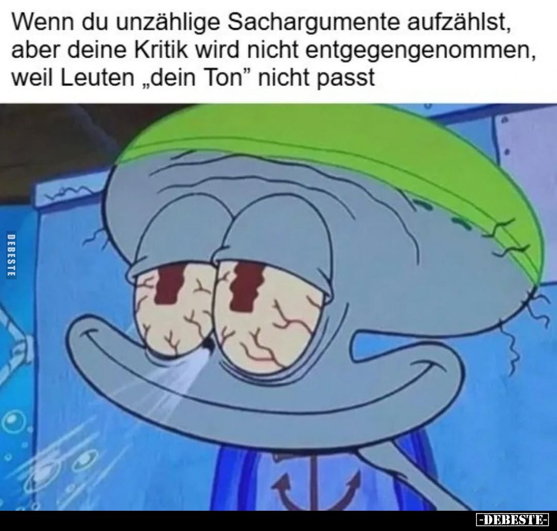 Wenn du unzählige Sachargumente aufzählst, aber deine Kritik wird nicht entgegengenommen, weil Leuten "dein Ton" ni...