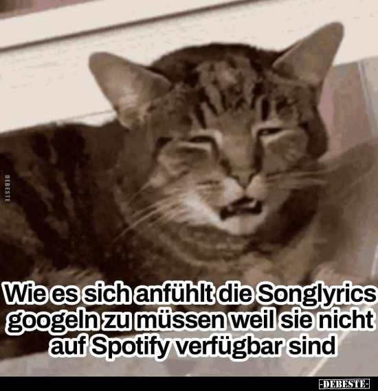Wie es sich anfühlt die Songlyrics googeln zu müssen weil.. - Lustige Bilder | DEBESTE.de