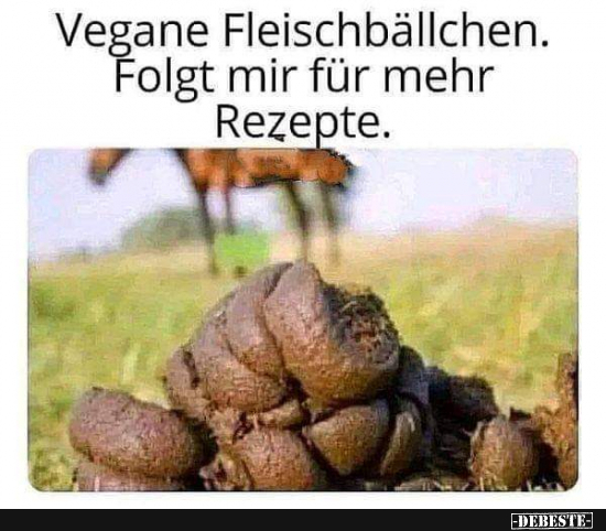Vegane Fleischbällchen - Lustige Bilder | DEBESTE.de