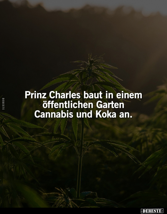 Prinz Charles baut in einem öffentlichen Garten.. - Lustige Bilder | DEBESTE.de