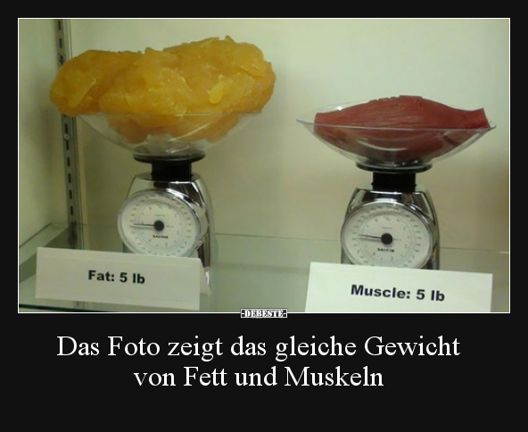 Das Foto zeigt das gleiche Gewicht von Fett und Muskeln.. - Lustige Bilder | DEBESTE.de