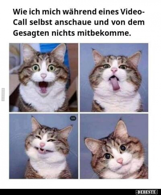 Wie ich mich während eines Video- Call selbst anschaue und.. - Lustige Bilder | DEBESTE.de