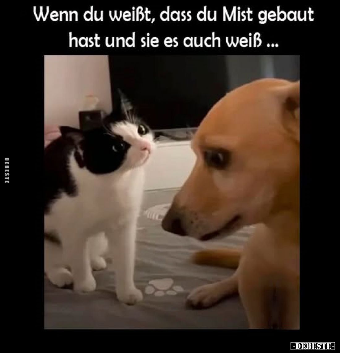 Wenn du weißt, dass du Mist gebaut hast und sie es auch weiß ...