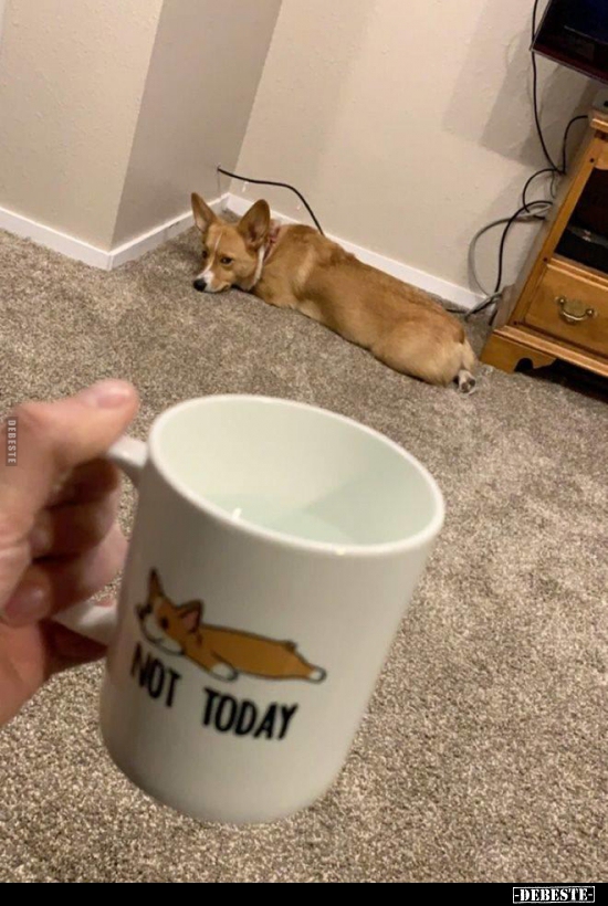  - Lustige Bilder | DEBESTE.de