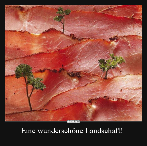 Eine wunderschöne Landschaft!.. - Lustige Bilder | DEBESTE.de