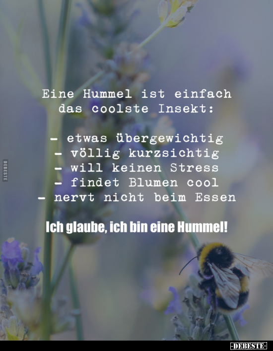 Eine Hummel ist einfach das coolste Insekt.. - Lustige Bilder | DEBESTE.de