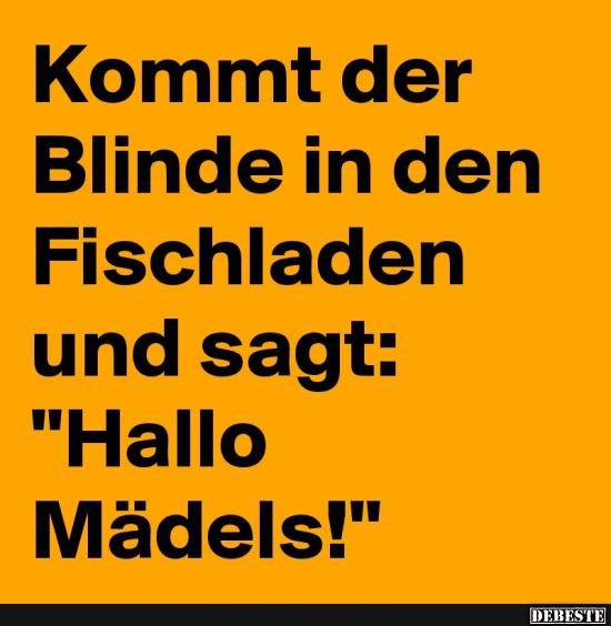 Kommt ein Blinder in ein Fischgeschäft und sagt.. - Lustige Bilder | DEBESTE.de
