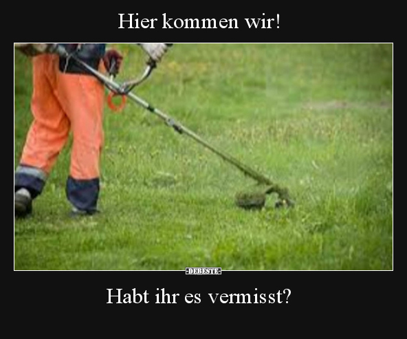 Hier kommen wir! Habt ihr es vermisst?..