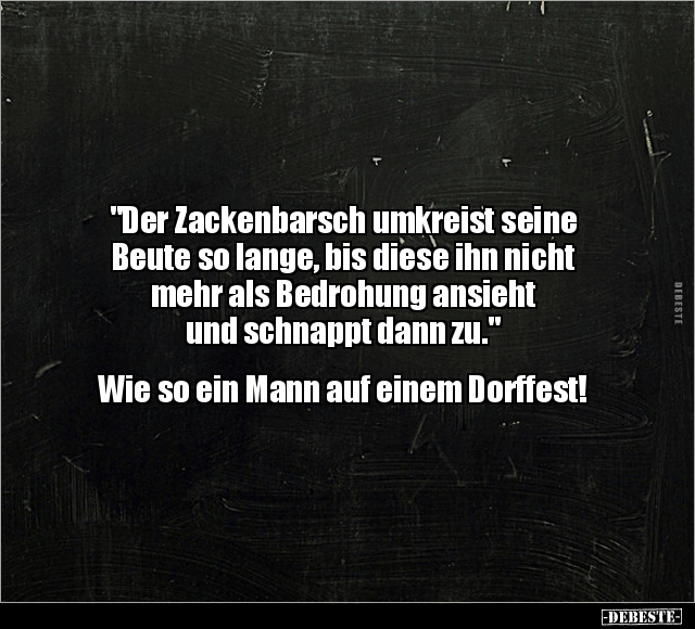 "Der Zackenbarsch umkreist seine Beute so lange, bis diese.." - Lustige Bilder | DEBESTE.de