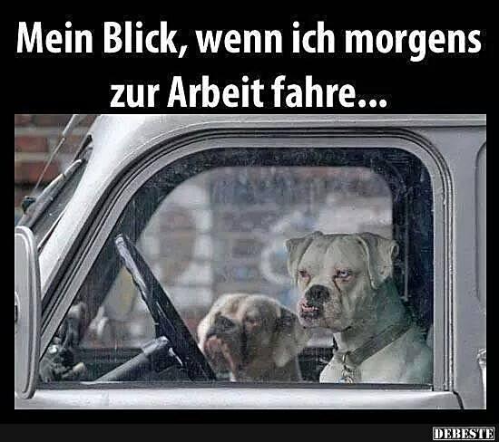 Mein Blick, wenn ich morgens zur Arbeit fahre.. - Lustige Bilder | DEBESTE.de
