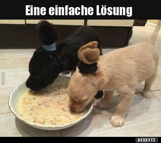 Eine einfache Lösung.. - Lustige Bilder | DEBESTE.de