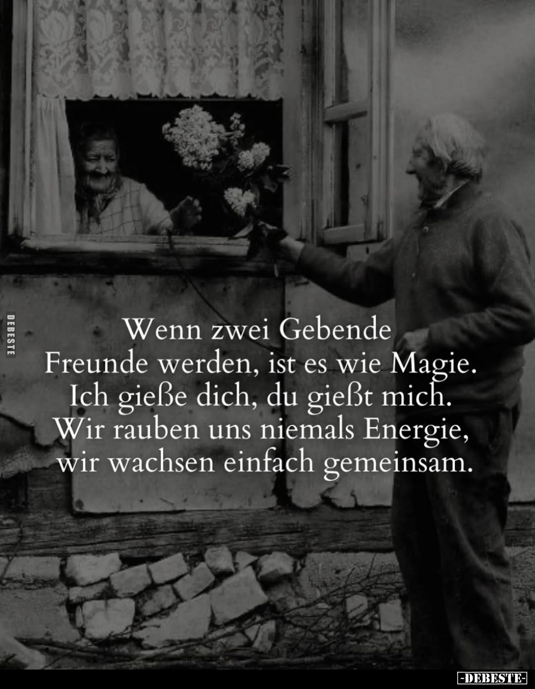 Wenn zwei Gebende
Freunde werden, ist es wie Magie. Ich gieße dich, du gießt mich. Wir rauben uns niemals Energie, wir wachs...
