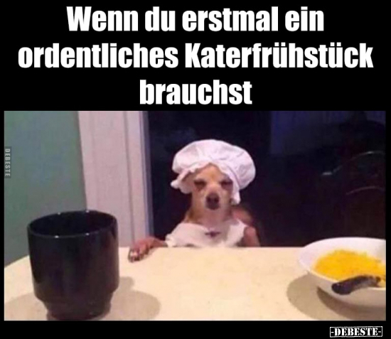 Wenn du erstmal ein ordentliches Katerfrühstück.. - Lustige Bilder | DEBESTE.de