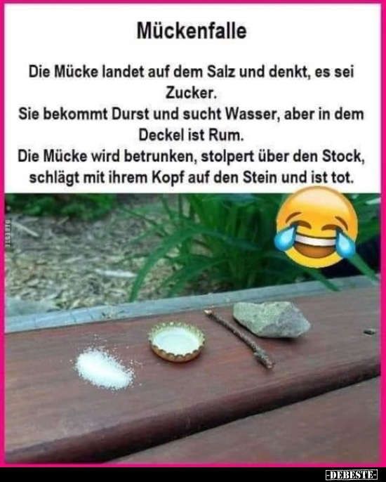 Mückenfalle - Die Mücke landet auf dem Salz und denkt.. - Lustige Bilder | DEBESTE.de
