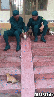 Jeder mag dieses Spiel..