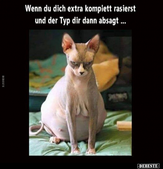 Wenn du dich extra komplett rasierst und der Typ.. - Lustige Bilder | DEBESTE.de