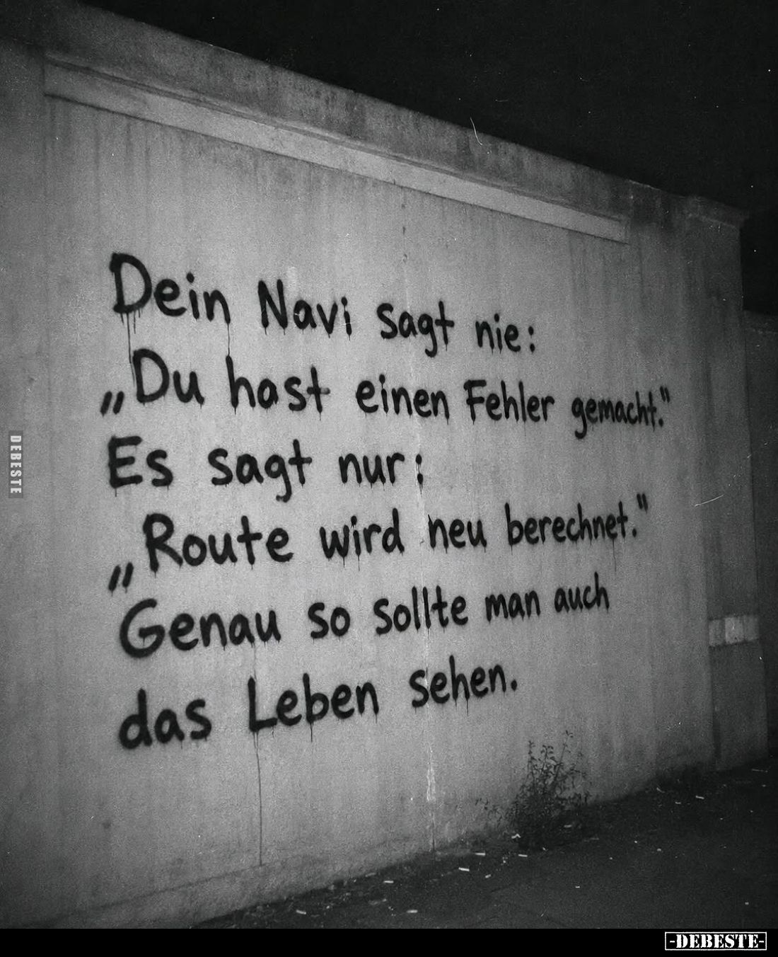 Dein Navi sagt nie: "Du hast einen Fehler gemacht."... - Lustige Bilder | DEBESTE.de