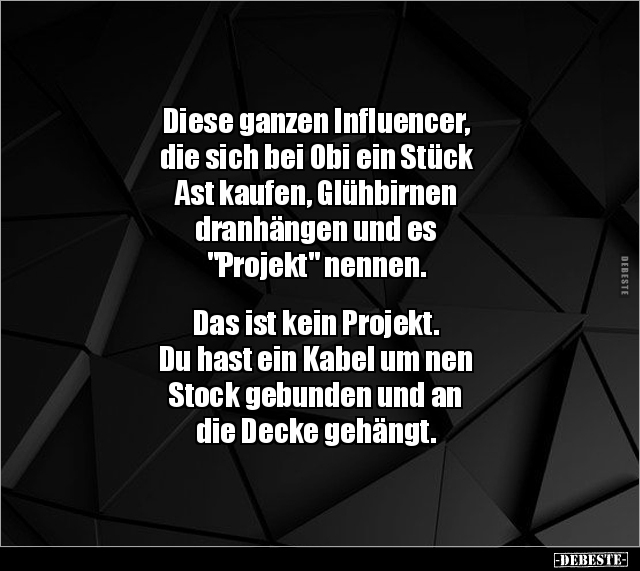Diese ganzen Influencer, die sich bei Obi ein Stück Ast.. - Lustige Bilder | DEBESTE.de