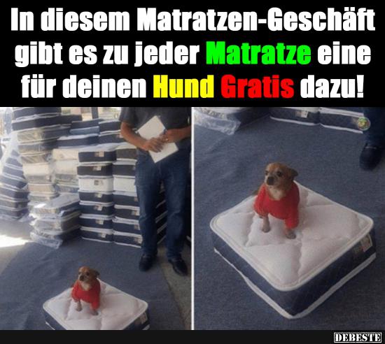 In diesem Matratzen-Geschäft gibt es zu jeder Matratze.. - Lustige Bilder | DEBESTE.de