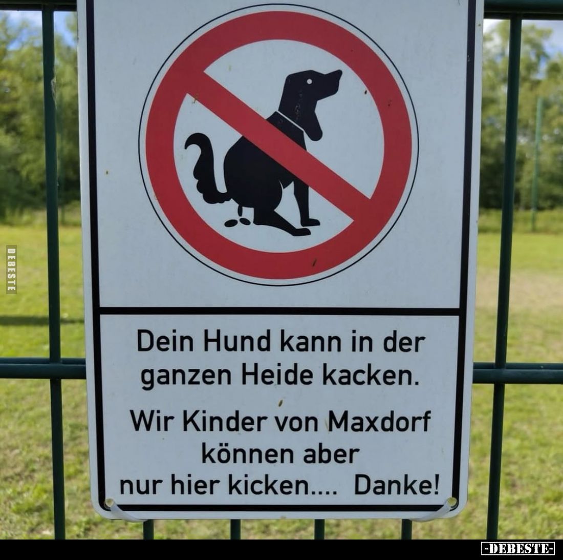 Dein Hund kann in der ganzen Heide kacken.
Wir Kinder von Maxdorf können aber nur hier kicken.... Danke!