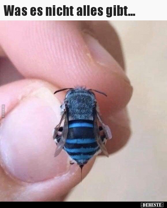 Was es nicht alles gibt...