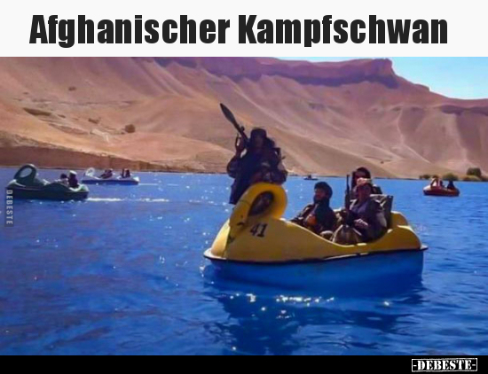 Afghanischer Kampfschwan.. - Lustige Bilder | DEBESTE.de