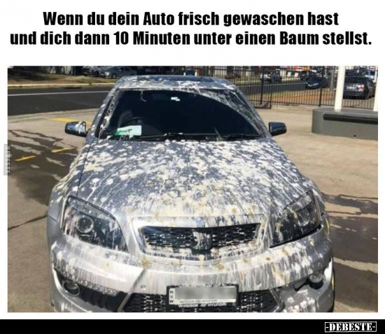 Wenn du dein Auto frisch gewaschen hast und dich dann 10.. - Lustige Bilder | DEBESTE.de