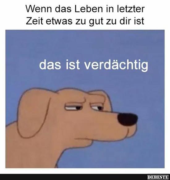 Wenn das Leben in letzter Zeit etwas zu gut zu dir ist..