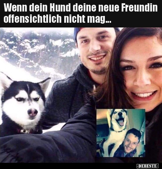 Wenn dein Hund deine neue Freundin offensichtlich nicht..