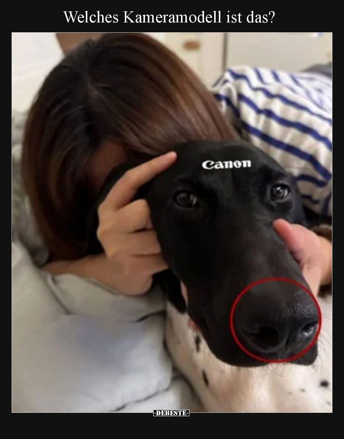 Welches Kameramodell ist das?
