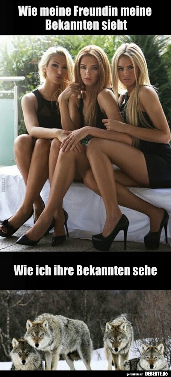 Wie meine Freundin meine Bekannten sieht..